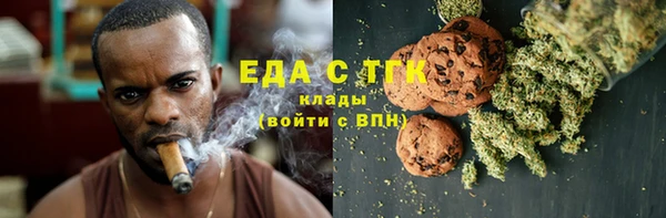 индика Козельск