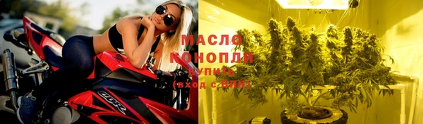 индика Козельск