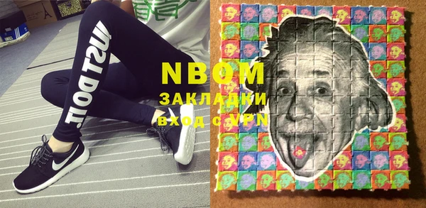 индика Козельск