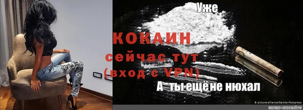 индика Козельск