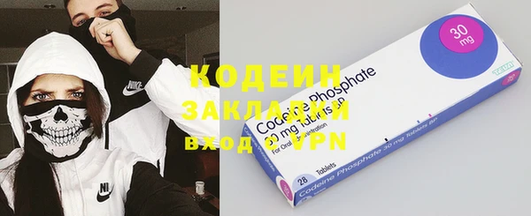 индика Козельск