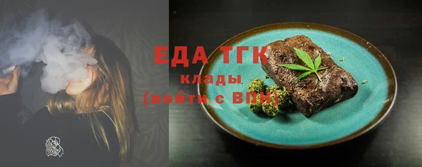 индика Козельск