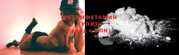 индика Козельск
