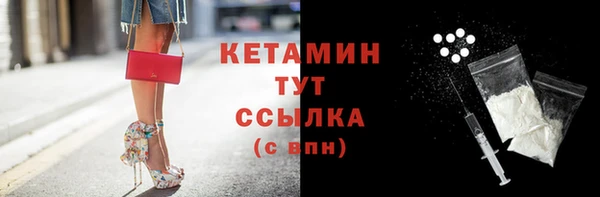 индика Козельск