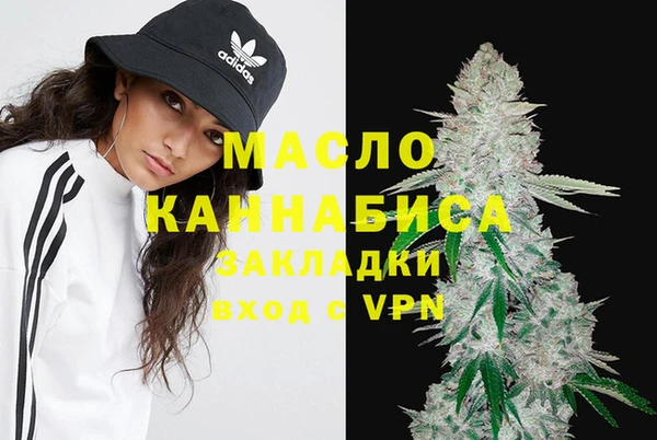 индика Козельск
