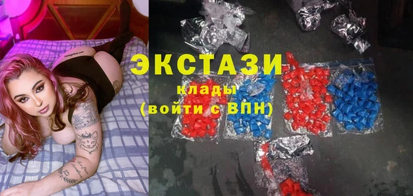 индика Козельск