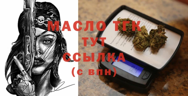 индика Козельск
