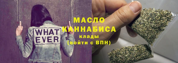 индика Козельск