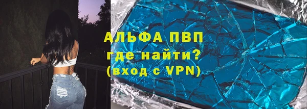 индика Козельск