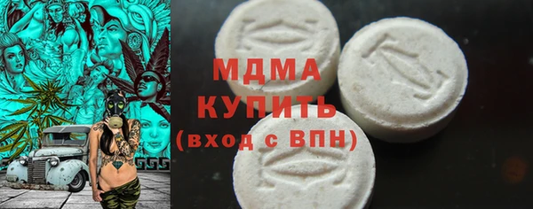 индика Козельск