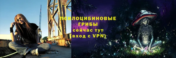 индика Козельск
