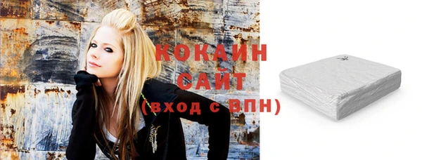 индика Козельск